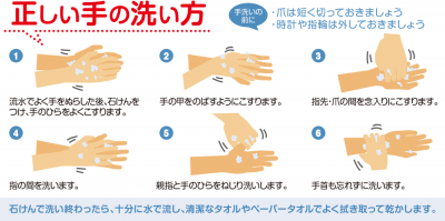 正しい手の洗い方の手順
