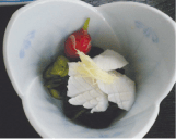 小鉢に盛り付けられたいかとキュウリの酢の物の写真