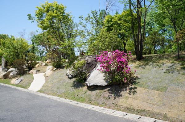 雑草が刈られ芝生や植栽が植えられた施工後の道路横空間の写真